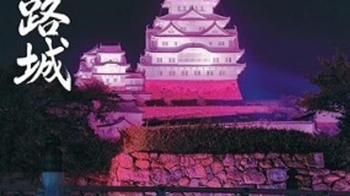 今日の姫路城 ピンク色 (2017.10.1)