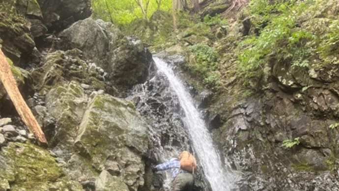 沢登り 丹沢 水無川