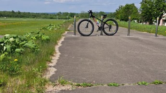 自転車再開は北海道ホテルのクロユリ観賞