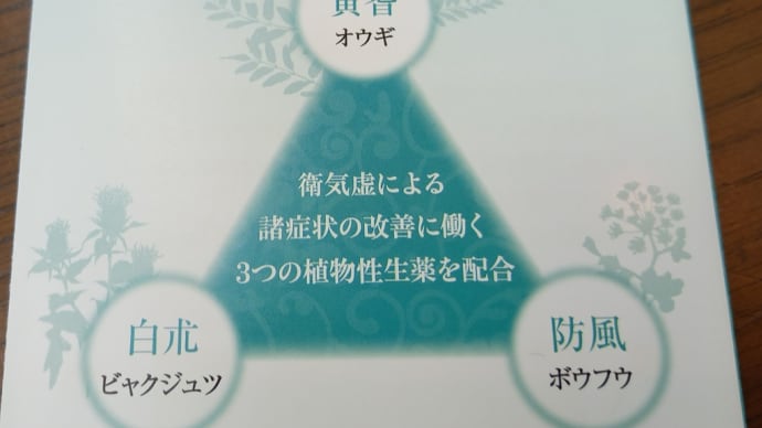 花粉症:バリアの力が弱い「衛気虚」