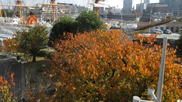 ひと駅歩こう　JR桜木町駅から横浜駅へ①