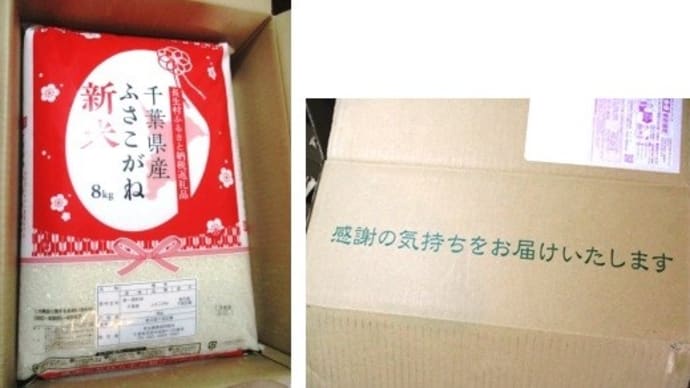 「ふるさと納税」お礼品(2021) ~千葉県長生村「長生産ふさこがね(白米16kg)令和3年産新米」~