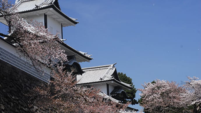 出生率の下げ幅は全国最大
