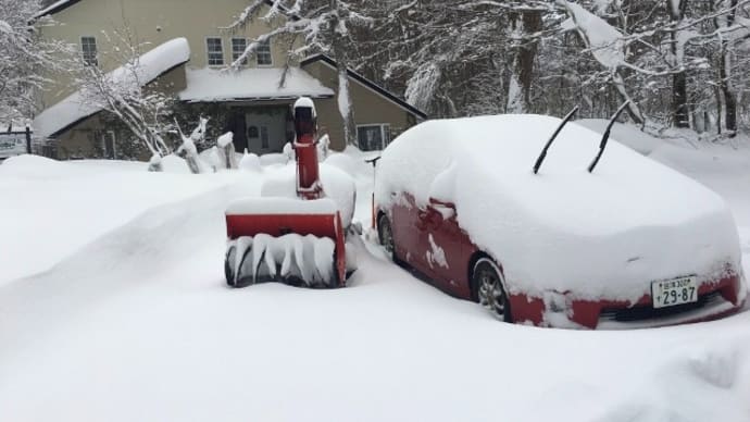 除雪作業に半日