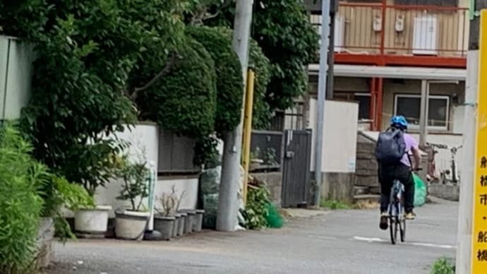 レッスン再開