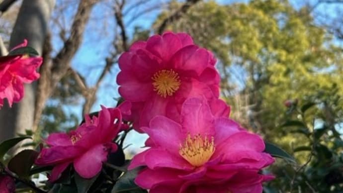 甲辰年の “祈り” と “願い” を込めて打出天神社へ