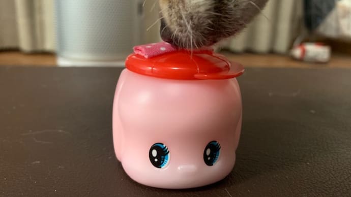 問題です!ジャジャン‼