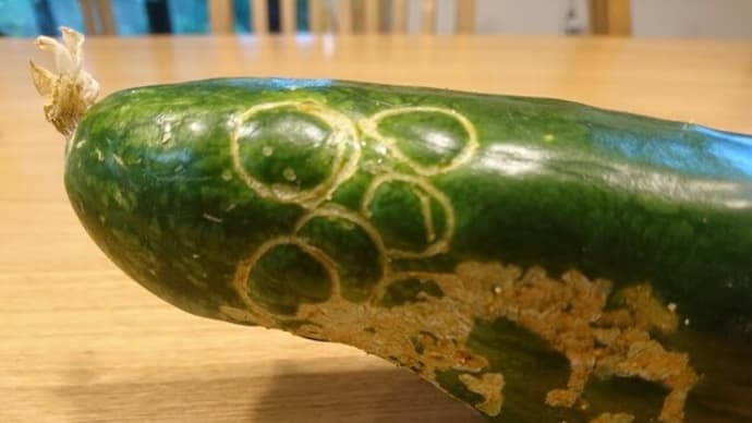 夏野菜& じゃがいも大収穫!