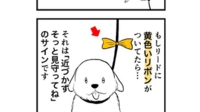 イエローリボン