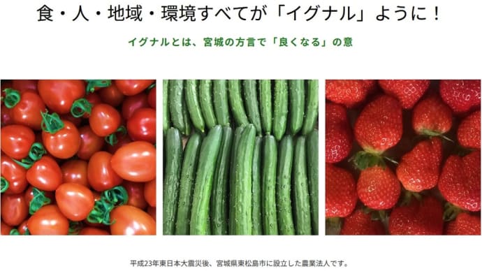 みやぎの野菜農家応援プロジェクト2023 ~イグナルファームのミニトマトハウス再建応援ツアー~のご案内について