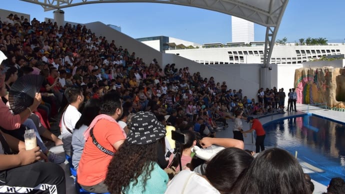 2019、2020年末年始 フィリピン・セブ旅行(2日目-14)Cebu Ocean Park:Amphitheatre(野外円形劇場)