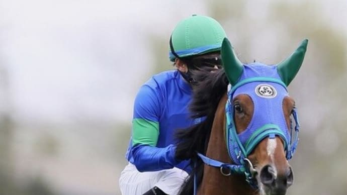 【カイザーノヴァ】熱感治まり騎乗再開へ