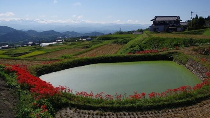 タカの渡りを見て~高天の風景・彼岸花など