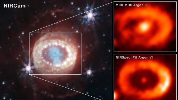 超新星“SN 1987A”では中性子星が生成されていた！ 重い恒星が一生の最期に起こす大爆発で残されたコンパクトな天体の正体