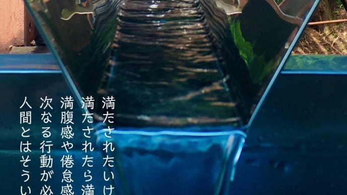 満たされたら / ラグの写真詩