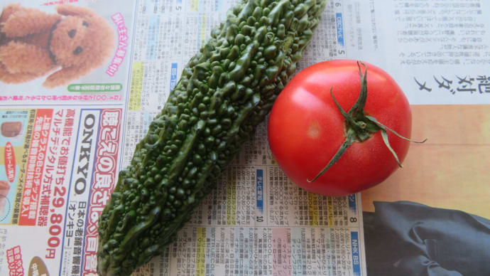 沖縄フェア