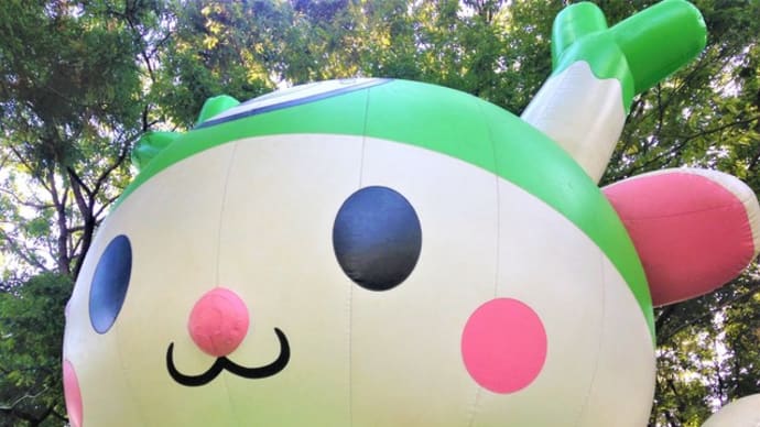 ~ ふあふあふっかちゃんも準備OK!2019.11.17 ~