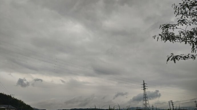 小待宵草の空