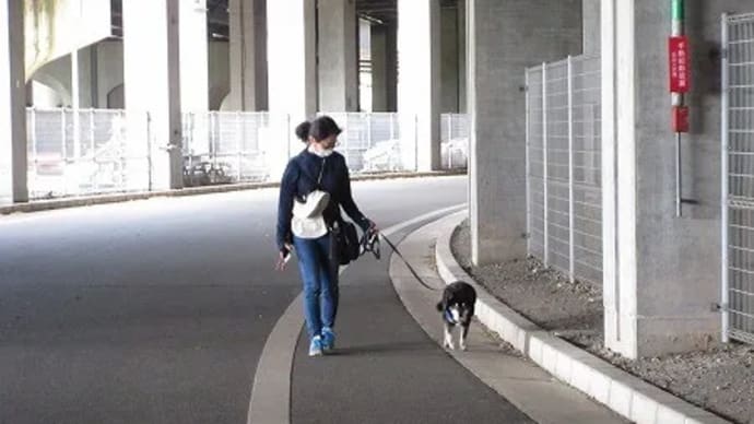 横浜散トレ 20231001