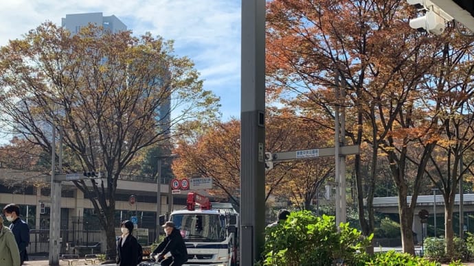 撮り損ね〜