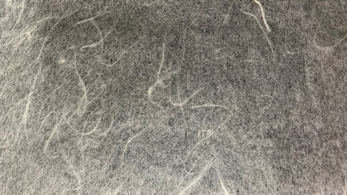 紙頼み　当たるも八卦当たらぬも八卦