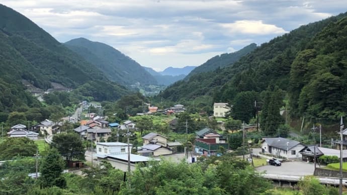 辛抱