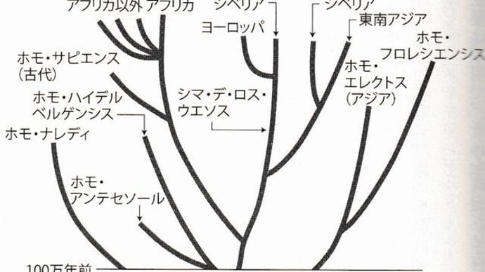 ホモ・サピエンス誕生1