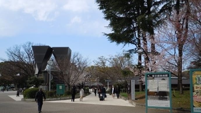 2020年3月 東京の桜