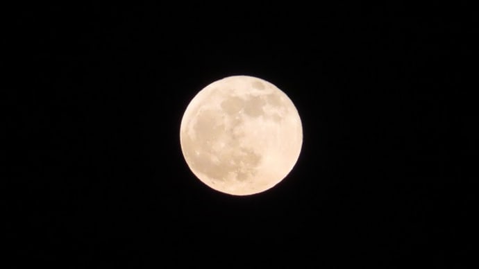 5月の満月はフラワームーンと言うそうな🌕