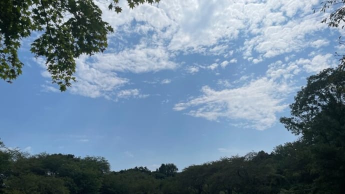 暑いけれど岩本山公園に行く
