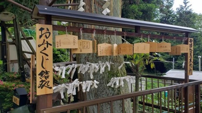 おみくじ結び処を移転新設しました。