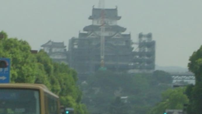 今日の姫路城(7.31)