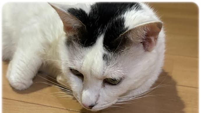 本日は・・・雅瑠さんよろしく