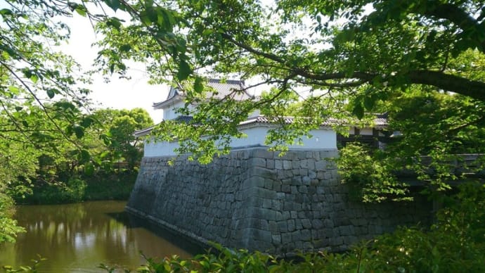 甲賀(3)水口城址