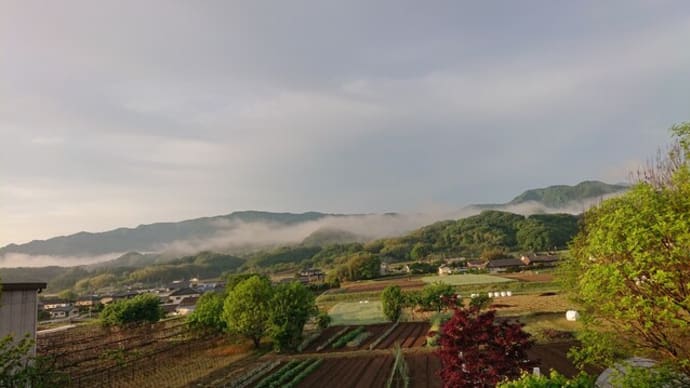 気候の変動で?