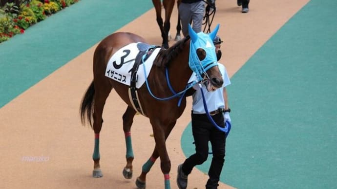 頑張れ!3歳未勝利戦3