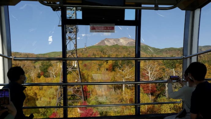 【大雪山国立公園・旭岳情報】木々の紅葉と晩秋の姿見