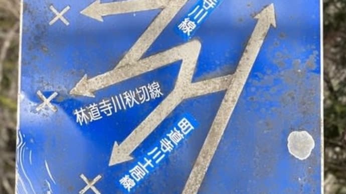 「行き止まりだけの道路標識」高知県道40号 石鎚公園線の旅2〔高知県いの町〕
