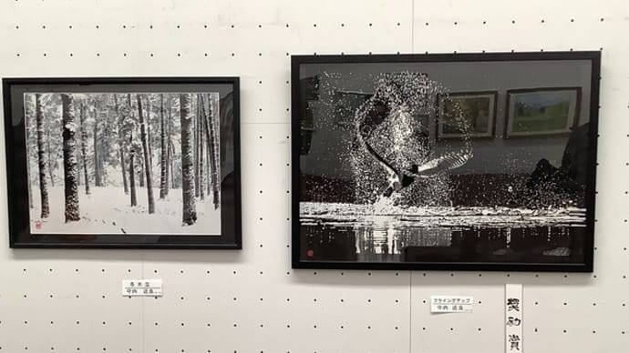 第57回都展