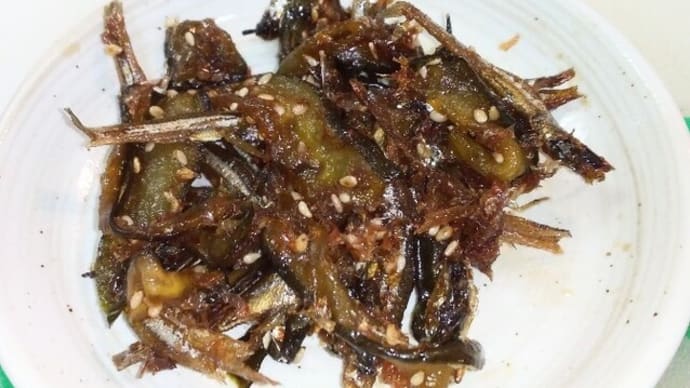 キュウリの佃煮 & 俳句入選