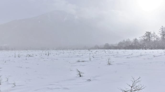 初春、佳雪ふる