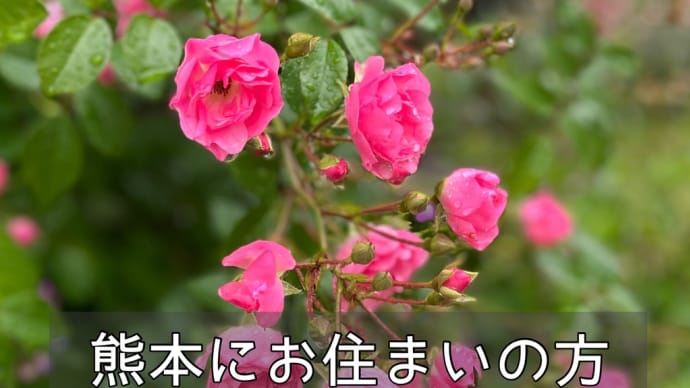 熊本にお住まいの方限定のお知らせ