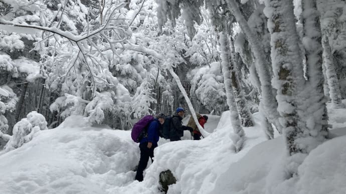 【本気の冬山】強風の八ヶ岳連峰・天狗岳登山
