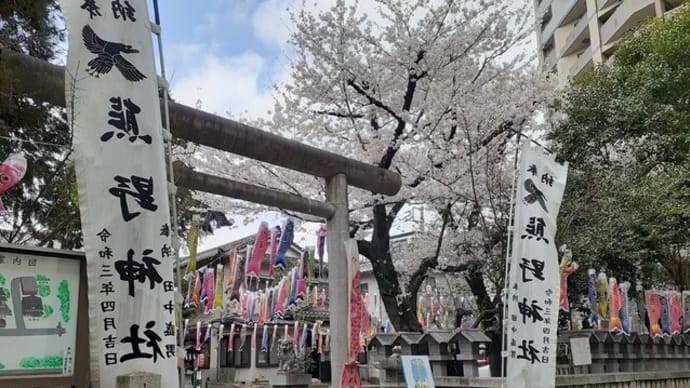 熊野神社の桜／２０２２年