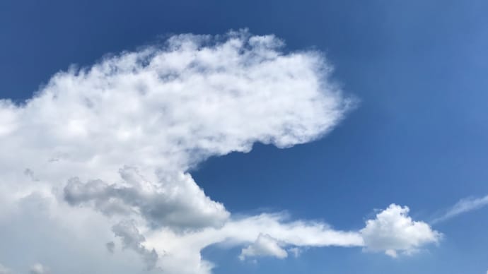 最近の雲は楽しい