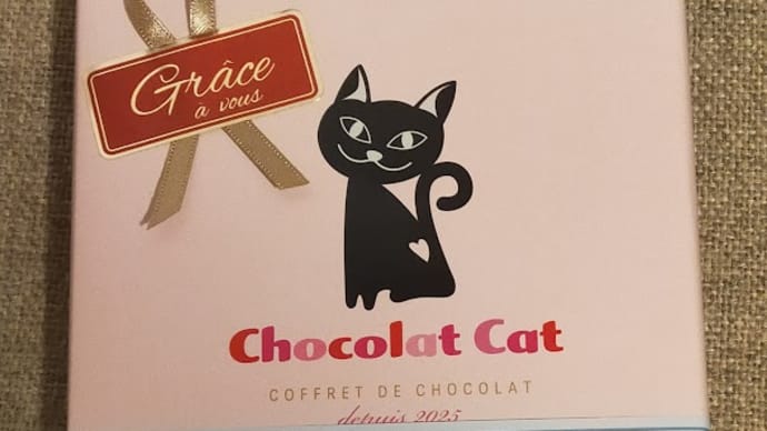 バレンタインも猫だらけ