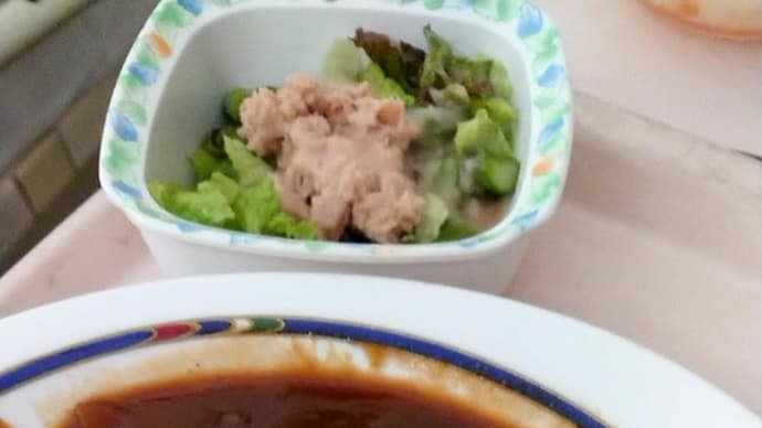 ハヤシライス