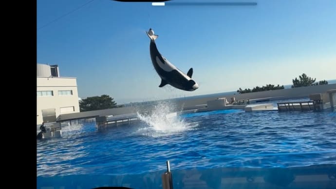 須磨シーワールド