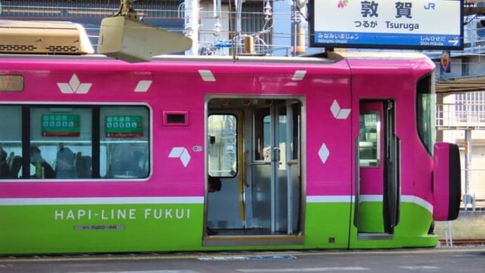 敦賀駅・京都駅 恐竜 いろいろ 黒猫