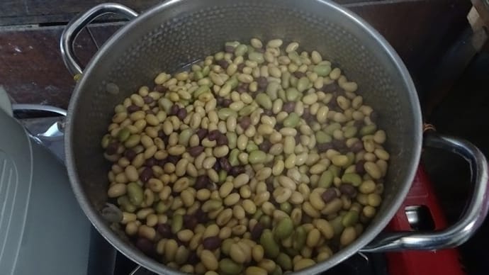 味噌作り2021